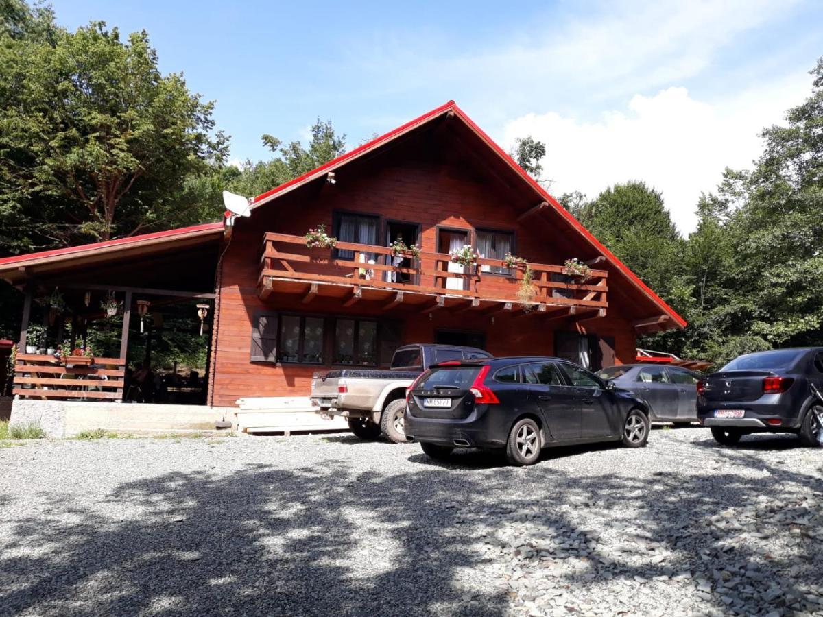 Cabana Alpha Baia Mare Luaran gambar