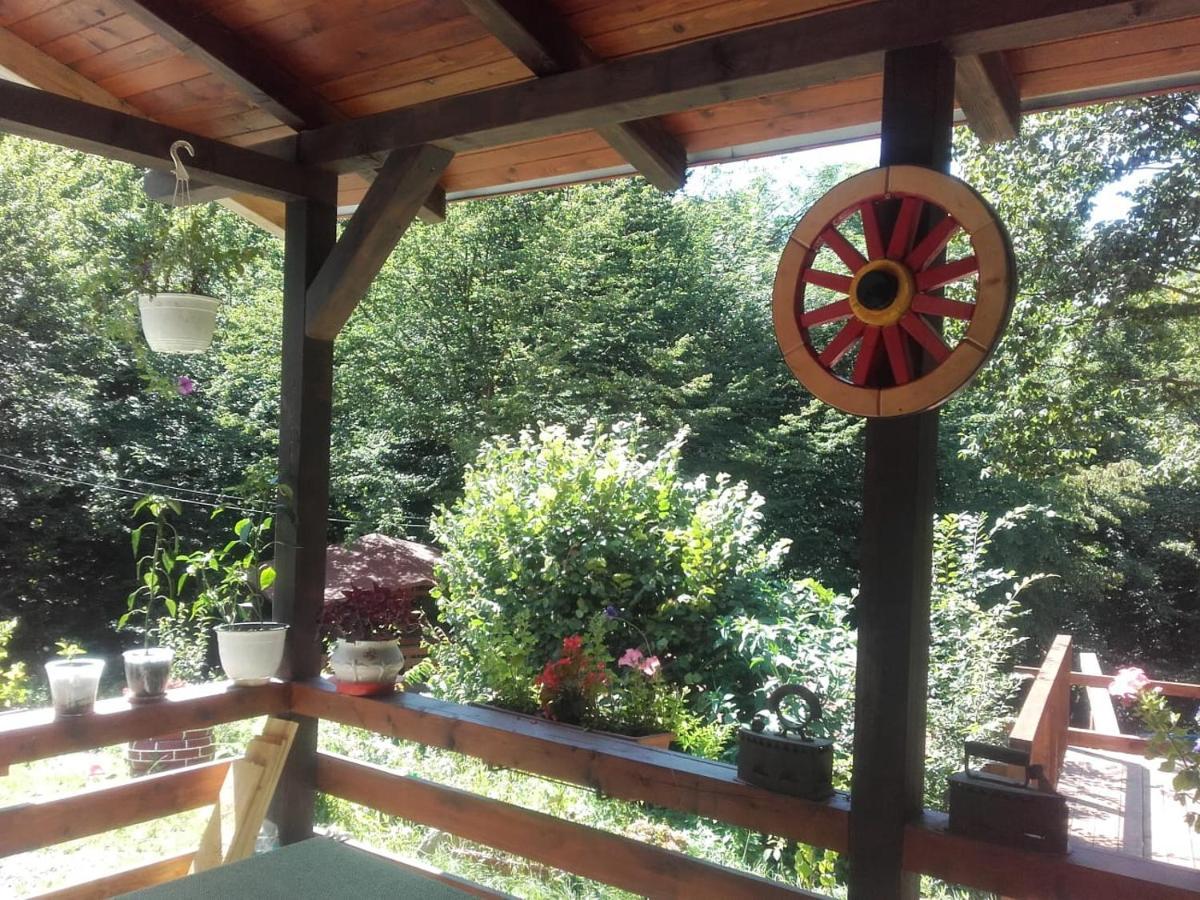 Cabana Alpha Baia Mare Luaran gambar