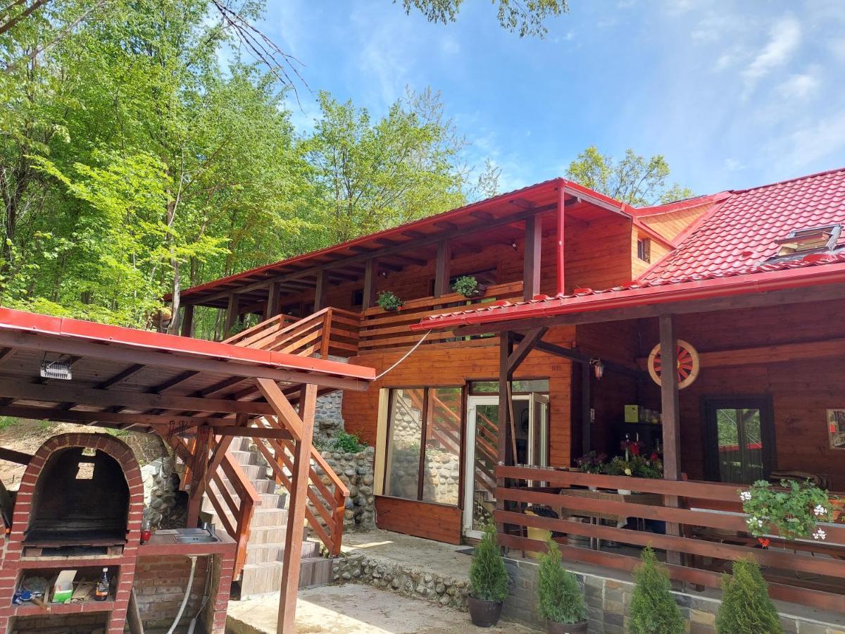 Cabana Alpha Baia Mare Luaran gambar