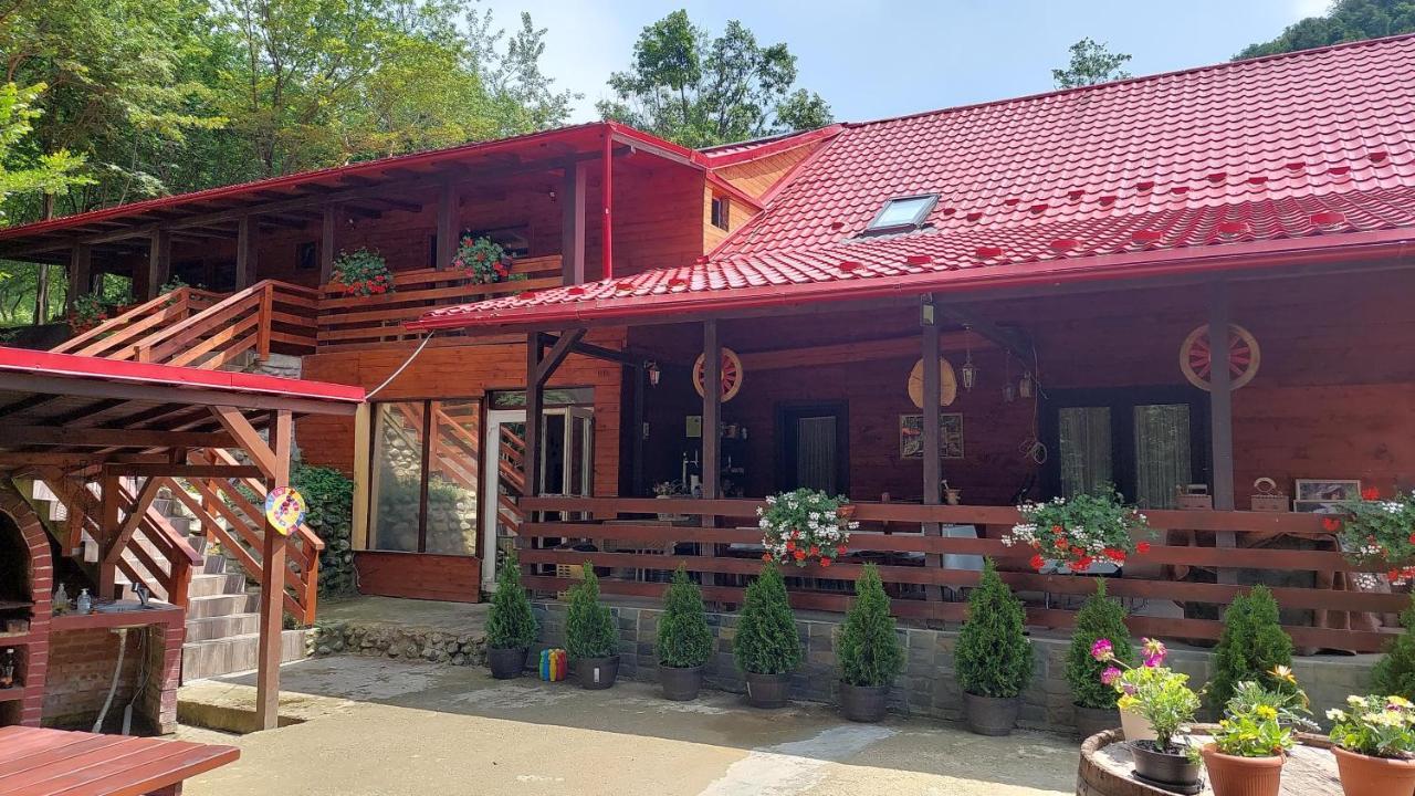 Cabana Alpha Baia Mare Luaran gambar