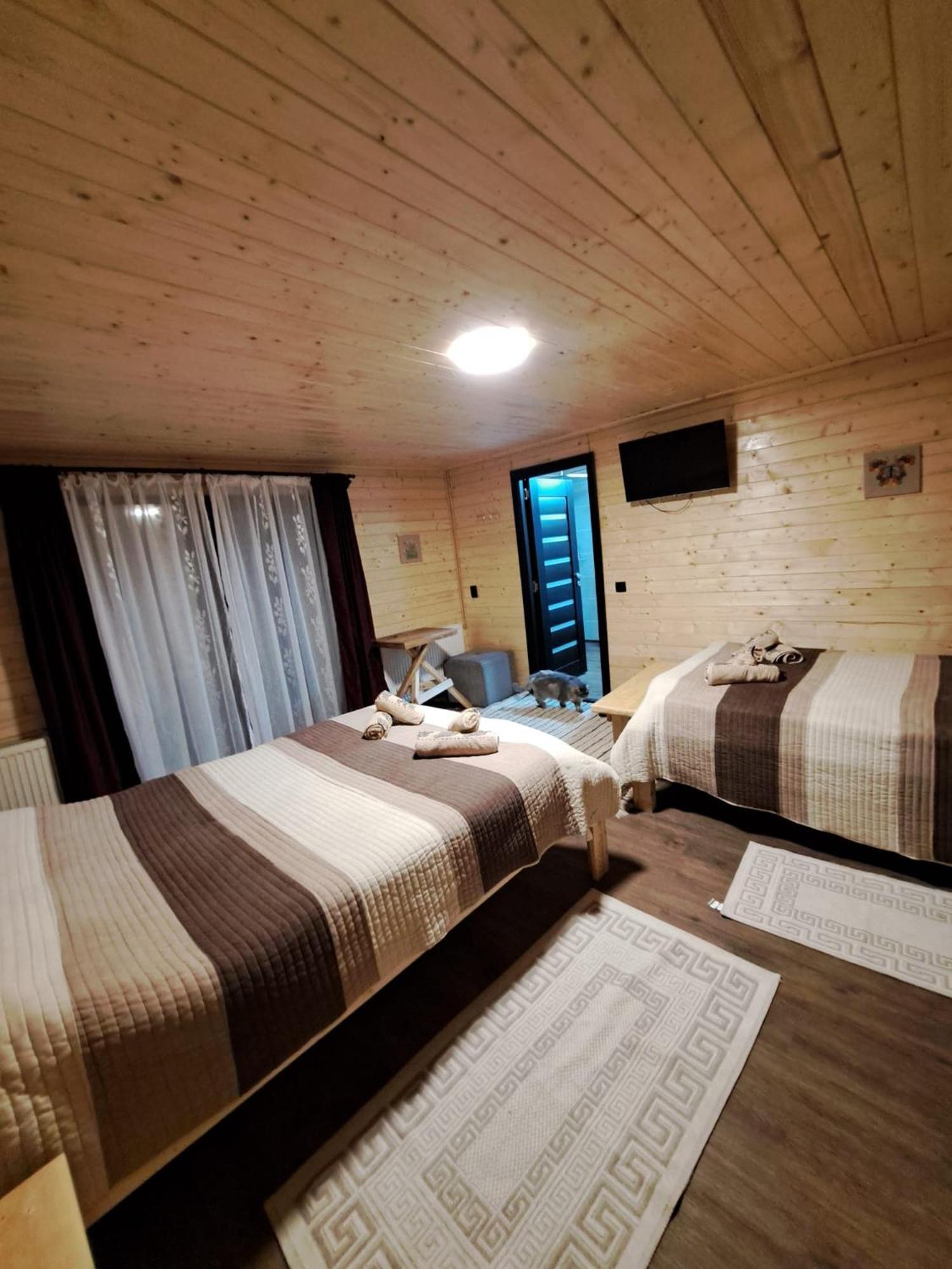 Cabana Alpha Baia Mare Luaran gambar