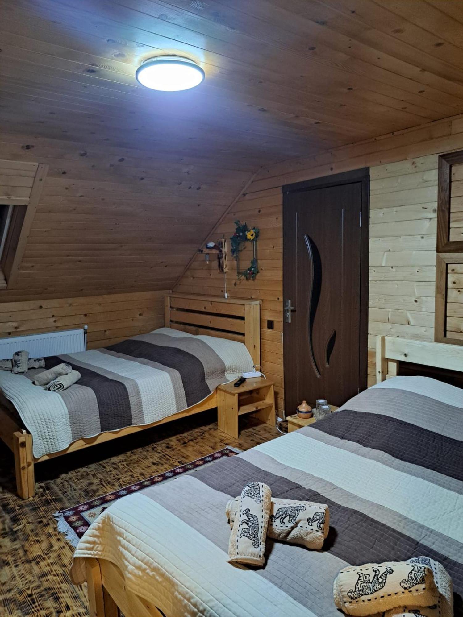 Cabana Alpha Baia Mare Luaran gambar